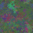 World at epoch 149000