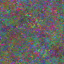 World at epoch 79000