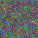World at epoch 80000