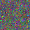 World at epoch 81000
