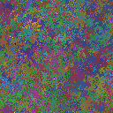 World at epoch 79000
