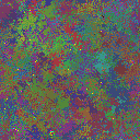 World at epoch 80000