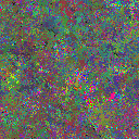 World at epoch 85000