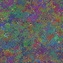 World at epoch 81000