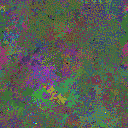 World at epoch 155000