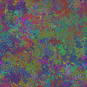 World at epoch 81000