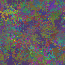 World at epoch 82000