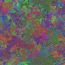 World at epoch 125000