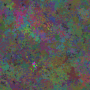 World at epoch 79000