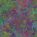 World at epoch 90000