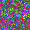 World at epoch 15000