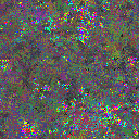 World at epoch 81000