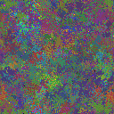 World at epoch 95000