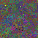 World at epoch 79000