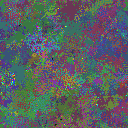 World at epoch 155000