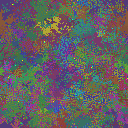World at epoch 150000