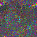 World at epoch 67000