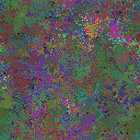 World at epoch 105000
