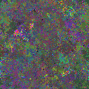 World at epoch 75000