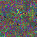 World at epoch 79000