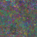 World at epoch 81000