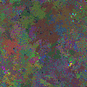 World at epoch 75000