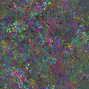 World at epoch 116000