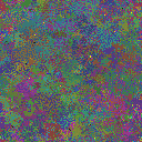 World at epoch 115000