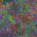 World at epoch 77000