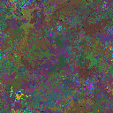 World at epoch 78000