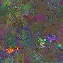 World at epoch 79000