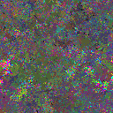 World at epoch 61000