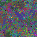 World at epoch 79000