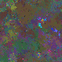 World at epoch 80000