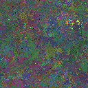 World at epoch 95000