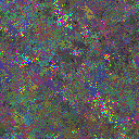 World at epoch 125000