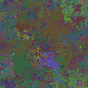 World at epoch 81000