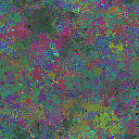 World at epoch 80000
