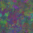 World at epoch 95000
