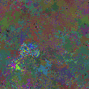 World at epoch 79000