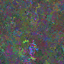 World at epoch 79000