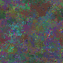World at epoch 75000