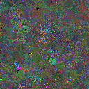 World at epoch 81000