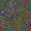 World at epoch 95000