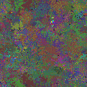 World at epoch 95000