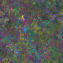 World at epoch 95000