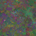 World at epoch 90000