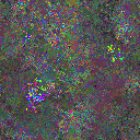 World at epoch 69000
