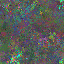 World at epoch 110000