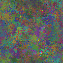World at epoch 79000